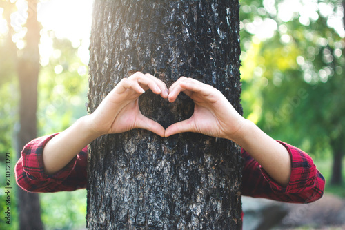 Fotografía Human hugging big tree color of hipster tone selective soft focus, concept prote