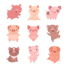 Cute Piggies Collection. Vector Illustration Of Funny Cartoon Pigs In Different Poses. Isolated On White.
