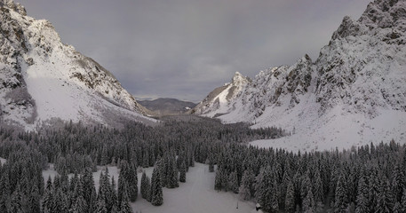 Poster - Vertical aerial view of snow covered spruce forest (trees) with a mountain hut in alpine valley of Tamar close to Planica, Julian Alps, Slovenia.