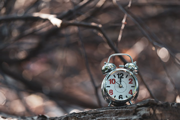 Retro Alarm Clock in the garden