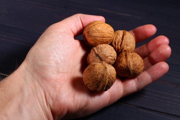 Poster - Greek walnut in hand