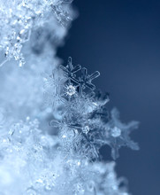 Photo Real Snowflakes During A Snowfall, Under Natural Conditions At Low Temperature