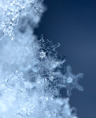 photo real snowflakes during a snowfall, under natural conditions at low temperature