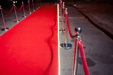 Red Carpet -  is traditionally used to mark the route taken by heads of state on ceremonial and formal occasions