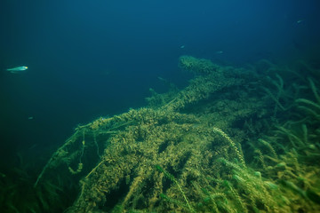 night underwater landscape / diving at night in fresh water, green algae, clear fresh water at night in the lake