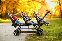 The Happy Triplets Sit In A  Baby Stroller And Eat Cookies At Autumn Par