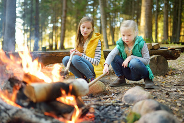 Wall Mural - cute little sisters roasting hotdogs on sticks at bonfire. children having fun at camp fire. camping