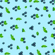 © Tierney - Blueberries and mints on a solid color background