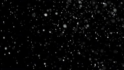 Wall Mural - white snow falling on isolated black background, shot of flying snowflakes bokeh, dust particles or 
