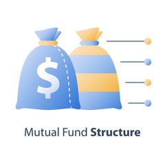 Asset diversification, investment fund structure, mutual fund concept, financial solution, capital distribution