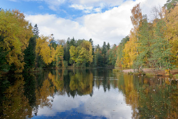 Wall Mural - The bright autumn wood is reflected in the lake