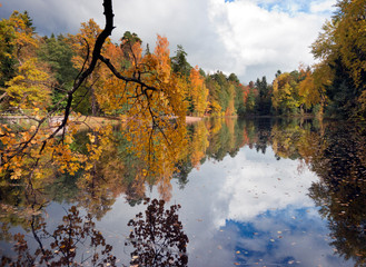 Wall Mural - Autumn tree with bright foliage is reflected in the lake