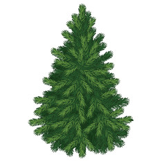 Wall Mural - Christmas tree isolated on white background. Sketch for greeting card, festive poster or party invitations.The attributes of Christmas and New year. Vector illustration.