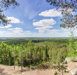 Wall Mural - Clouds over forest  in spring