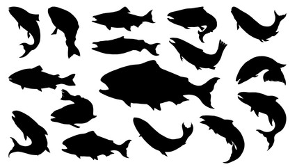 set of salmon silhouette in line art style.fish vector by hand drawing.fish tattoo on white backgrou
