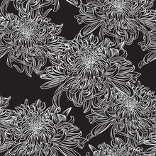 Seamless Floral Pattern With Black White Chrysanthemums Flowers. Black Background.