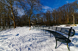 Fototapeta Most - Bench under a snowy park, Paris Area
