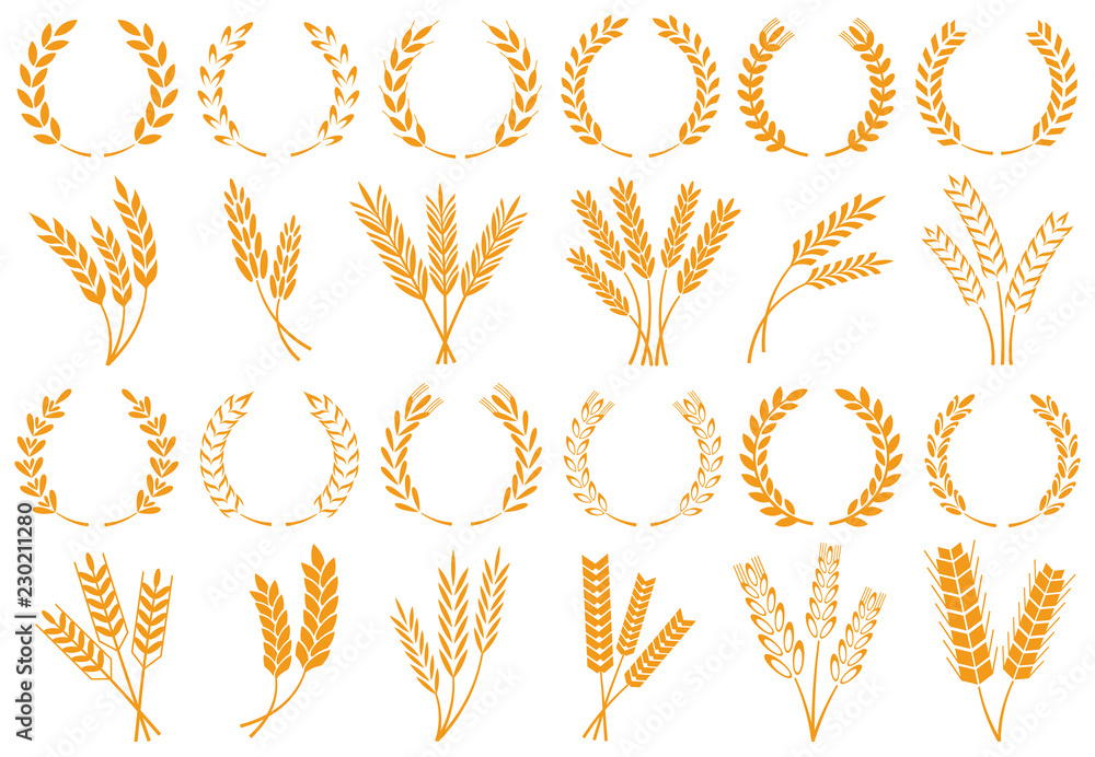 Wheat or barley ears. Harvest wheat grain, growth rice stalk and bread grains isolated vector set - obrazy, fototapety, plakaty 