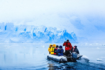 Wall Mural - Snowfall over the boat with frozen tourists driving towards the huge blue glacier wall in the background, near Almirante Brown, Antarctic peninsula