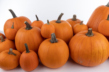 Heap of orange pumpkins