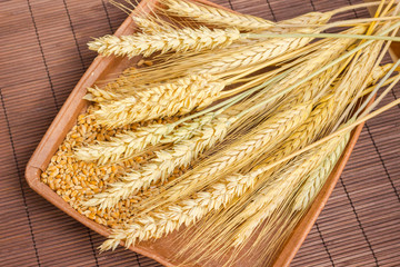 Spikelet of wheat and wheat grains on a brown background. Top view.