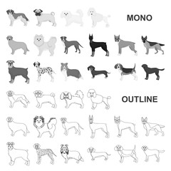 Wall Mural - Dog breeds monochrom icons in set collection for design.Dog pet vector symbol stock web illustration.