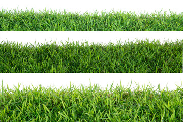 Sticker - Grass isolated on white background.