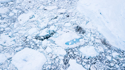 Wall Mural - abstract aerial view of fracktured glacier broken into icebergs floating on the sea. disko bay, gree