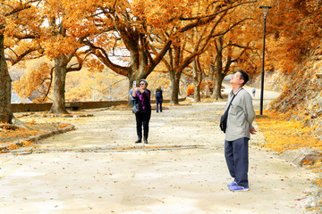 Elderly couple walk in park during fall season