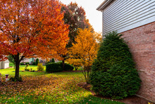 Suburban Home Backyard Garden During Autumn