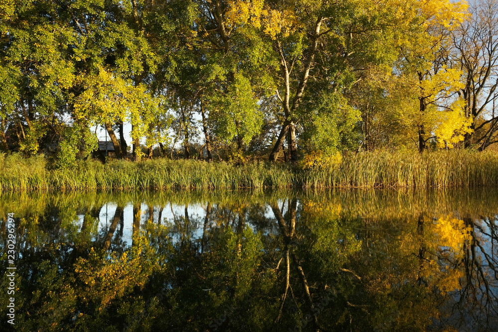 Symetryczne odbicia jesiennych drzew w wodzie w zachodzącym słońcu - obrazy, fototapety, plakaty 