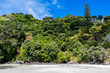 Ferienhaus am Strand inmitten Tropischen Waldes, Neuseeland