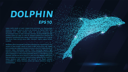 Dolphin of the particles. The Dolphin consists of circles and points. Vector illustration