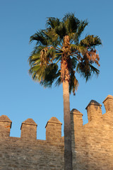 Wall Mural - Burg in Vejer de la Frontera