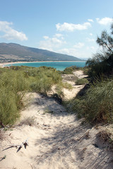 Wall Mural - Dünenlandschaft bei tarifa in val de vaqueros, andalusien