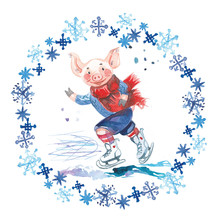 Pig In Sweater On Skates. 2019 Chinese New Year Of The Pig. Christmas Greeting Card. Watercolor Snowflakes Round Frame.