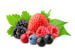 wild berries mix, strawberry, raspberry, currant, blueberry, cranberry, blackberry,, blackberries isolated on white background, clipping path, full depth of field
