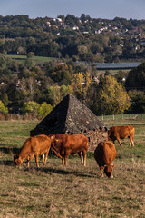 Poster - Voutezac (Corrèze, France) - Vue  campagnarde