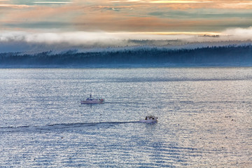 Poster - Two Fishing Boats in Misty Dawn