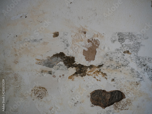Black Mold And Mildew Spots On Humind Wall Or Ceiling Due To