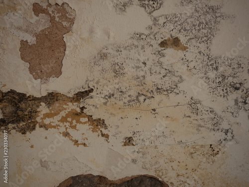 Black Mold And Mildew Stains On Wet Cellar Wall Due To Poor Black Mold And Mildew Stains On Wet Cellar Wall Due To Poor Ventilation Or Wrong Heating