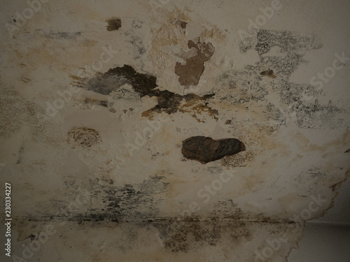 Black Mold And Mildew Spots On Humind Wall Or Ceiling Due To Poor