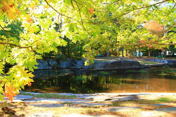 Wall Mural - Walking Tours in Canada