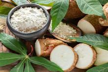 Yucca Root Free Stock Photo - Public Domain Pictures