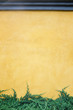 © Putthipong - Vertical photo of yellow fresco wall and green plant at bottom background