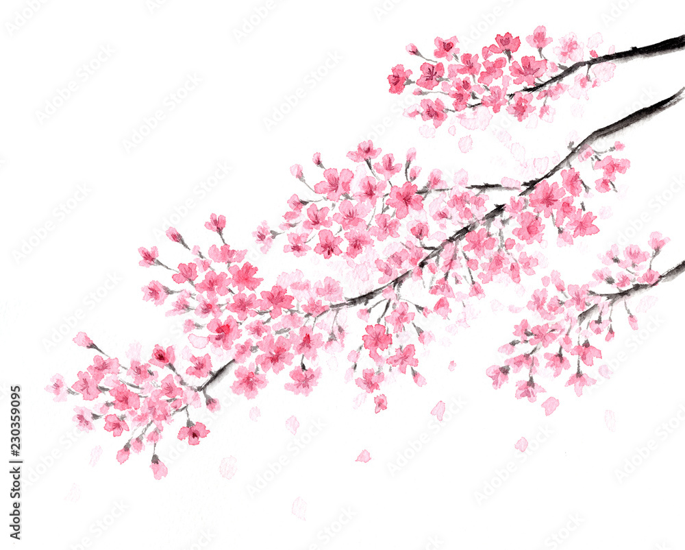 桜 水墨画 彩墨画 Stock Illustration | Adobe Stock