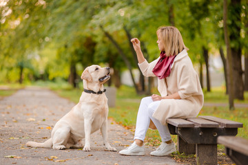 A young woman sits on a bench in the park, and her Labrador walks nearby.