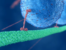 3d Rendered Illustration Of A Motor Protein