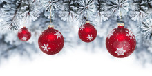 Christmas Background With Red Baubles Hanging On Pine Tree. Banner With Copy Space