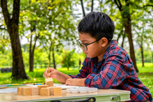 Asian Boy Having Fun Painting And Play Wood Blocks In The Park